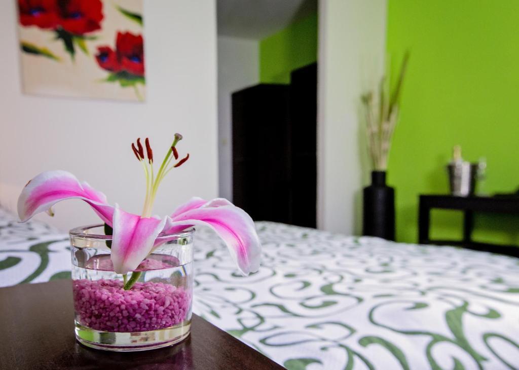 Bona Serva Praga Habitación foto